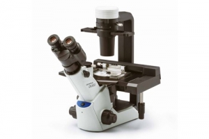 顯微鏡 CKX53
